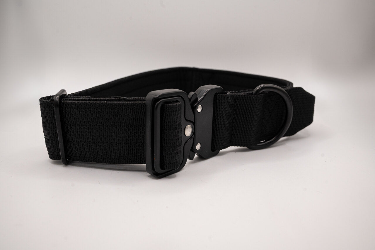 The Golden Life Trail Collar + Leash Kit