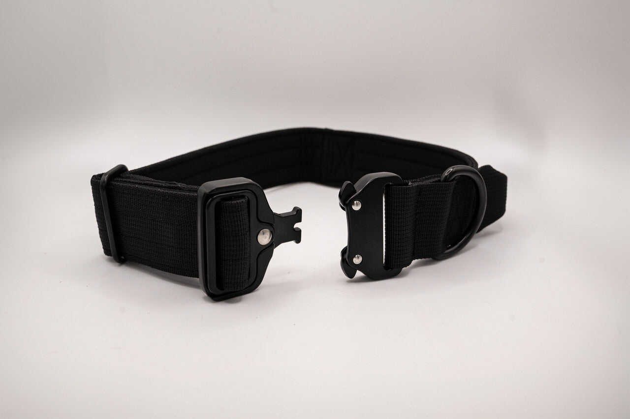 The Golden Life Trail Collar + Leash Kit