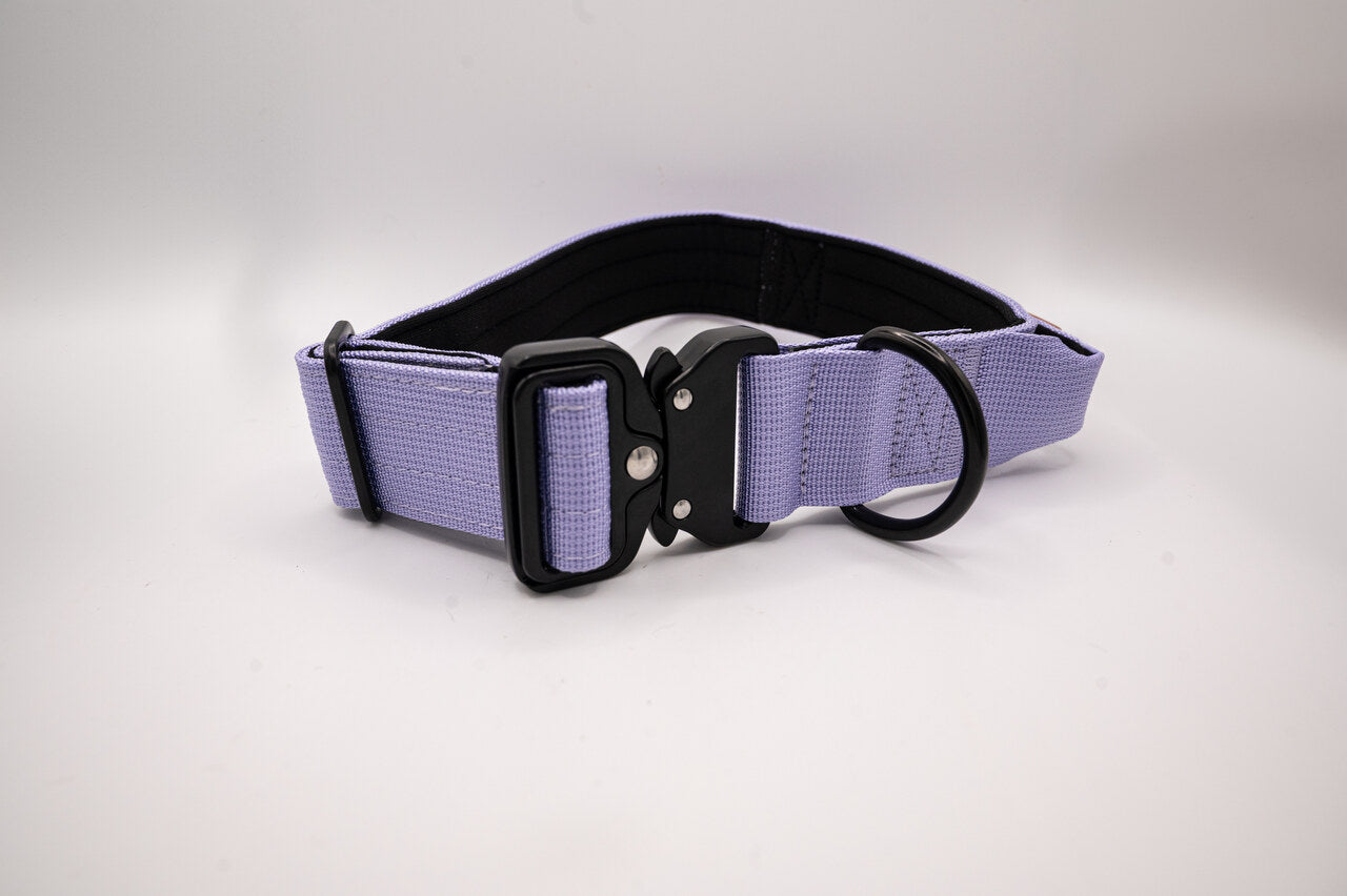 The Golden Life Trail Collar – Dog Collar with Built-In Handle