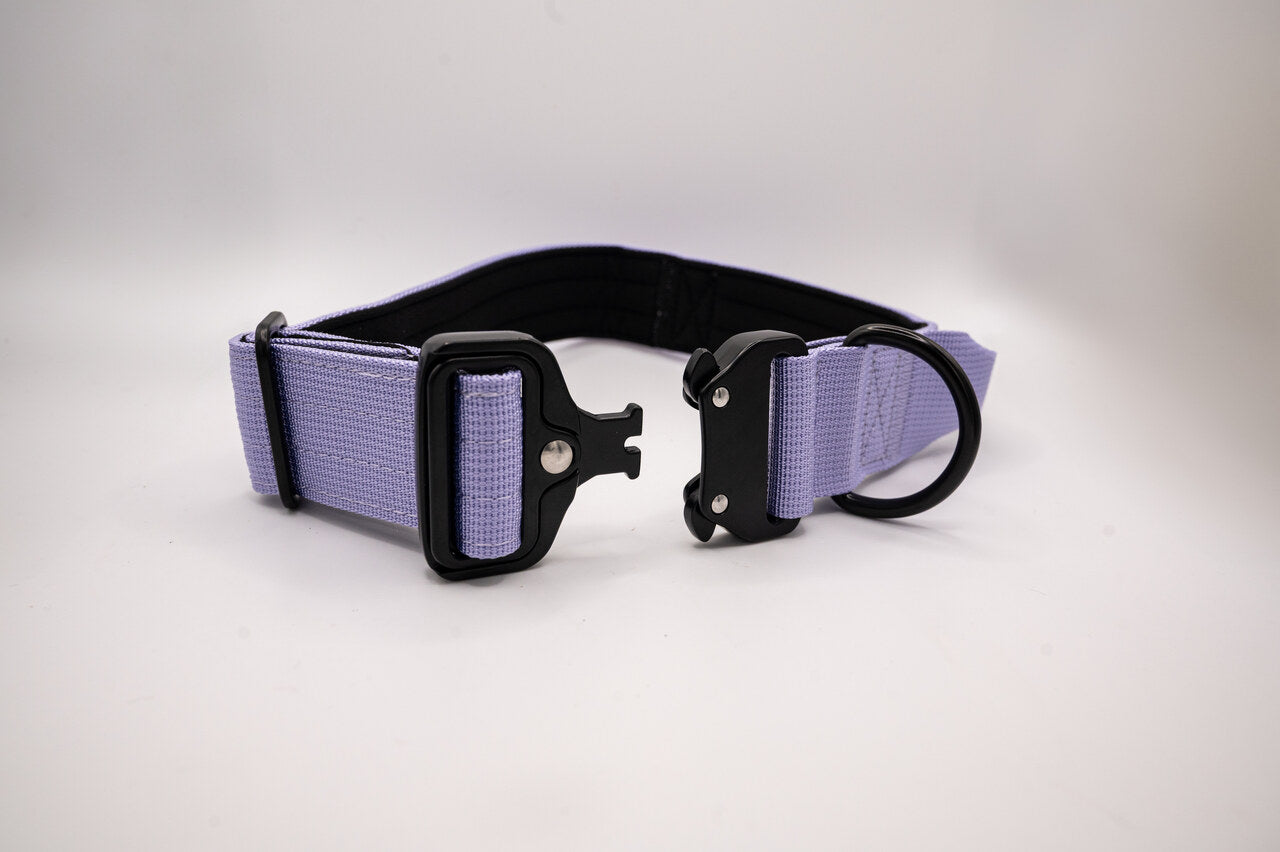 The Golden Life Trail Collar – Dog Collar with Built-In Handle
