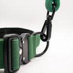 The Golden Life Trail Collar – Dog Collar with Built-In Handle