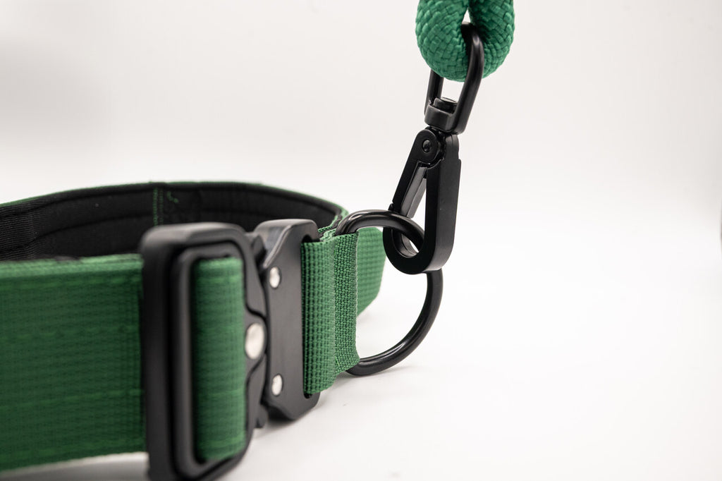 The Golden Life Trail Collar – Dog Collar with Built-In Handle