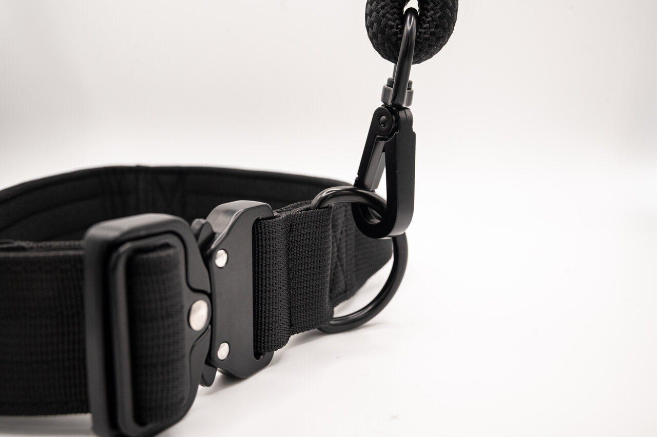 The Golden Life Trail Collar + Leash Kit
