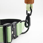 The Golden Life Trail Collar – Dog Collar with Built-In Handle