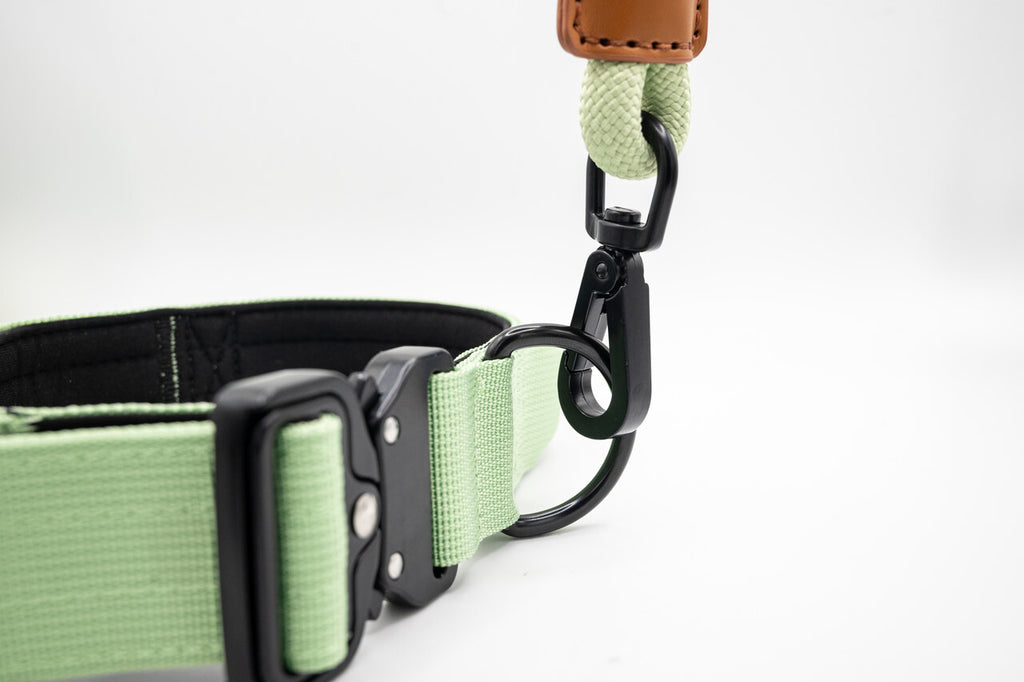 The Golden Life Trail Collar – Dog Collar with Built-In Handle