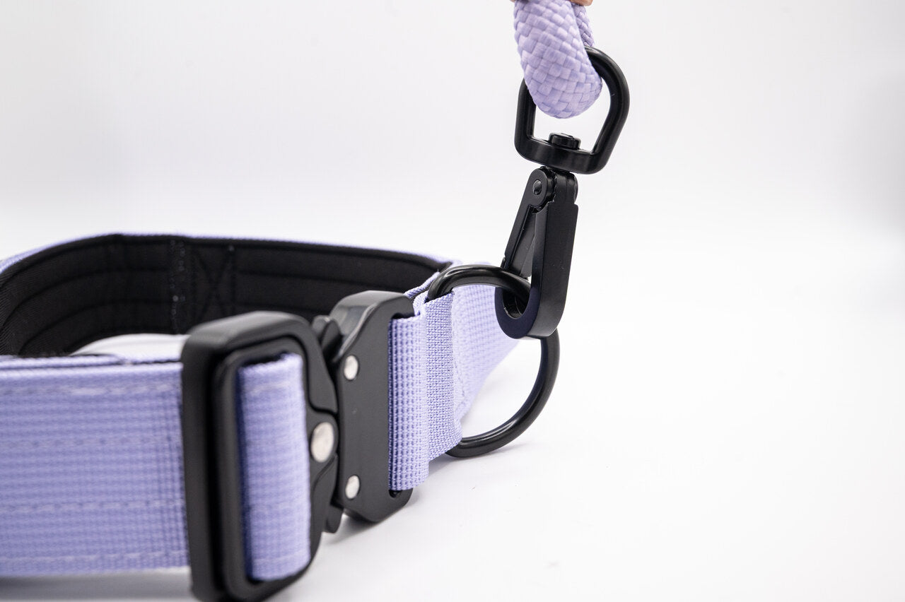 The Golden Life Trail Collar – Dog Collar with Built-In Handle