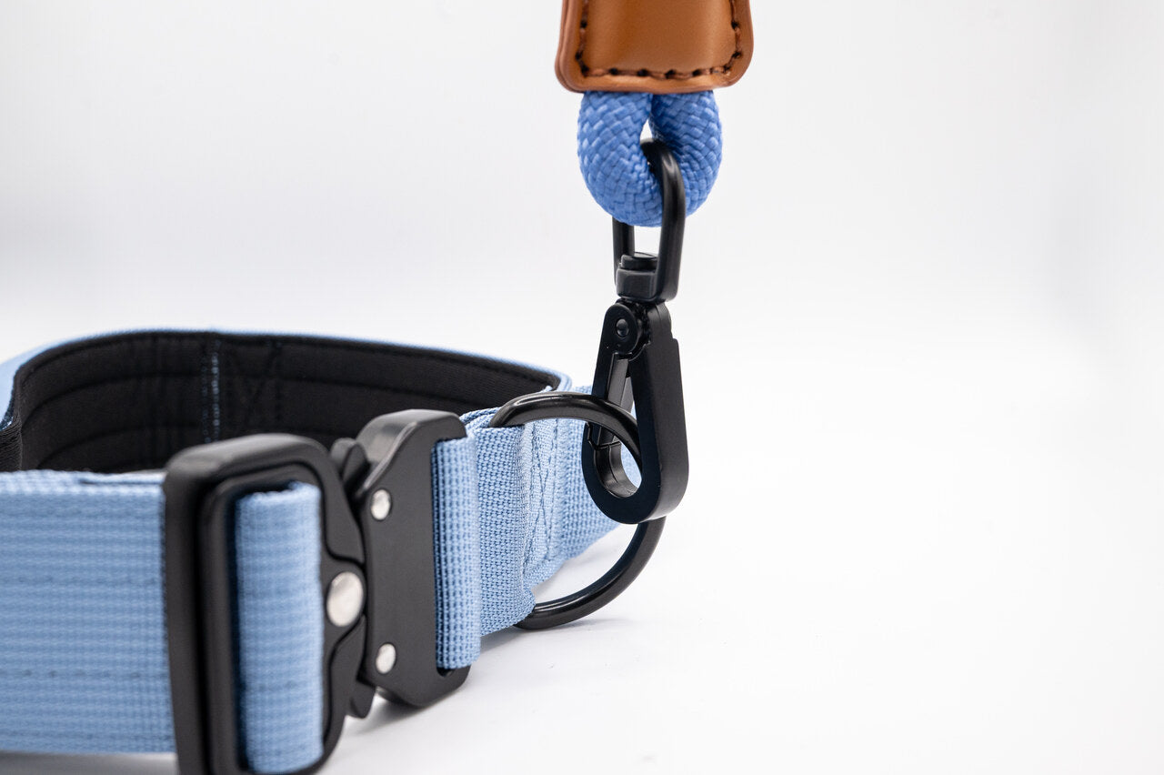 The Golden Life Trail Collar – Dog Collar with Built-In Handle