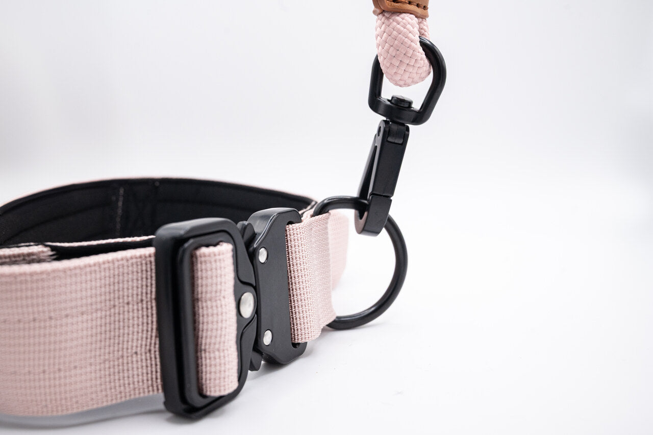 The Golden Life Trail Collar – Dog Collar with Built-In Handle