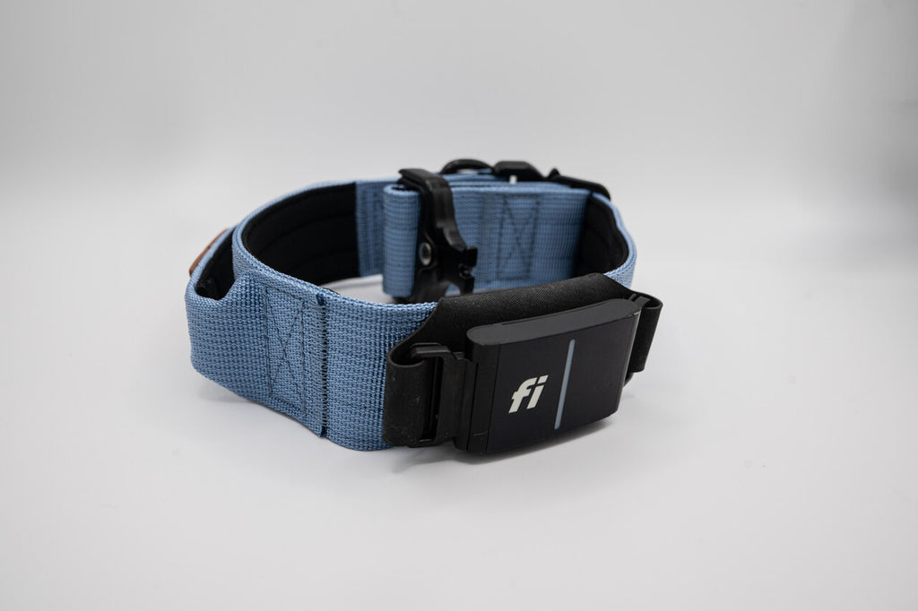 The Golden Life Trail Collar – Dog Collar with Built-In Handle