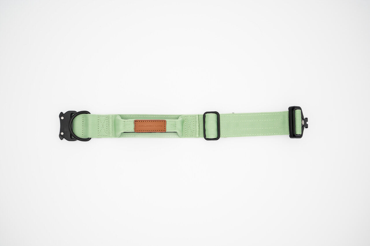 The Golden Life Trail Collar – Dog Collar with Built-In Handle