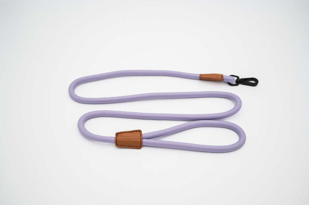 The Golden Life Trail Leash