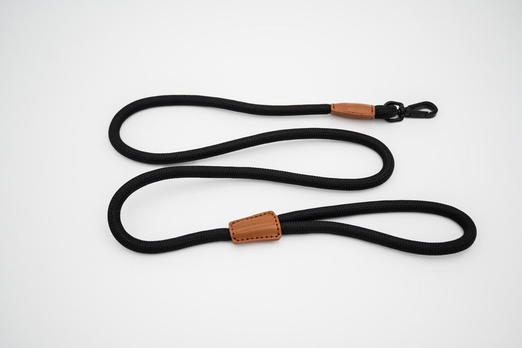The Golden Life Trail Collar + Leash Kit