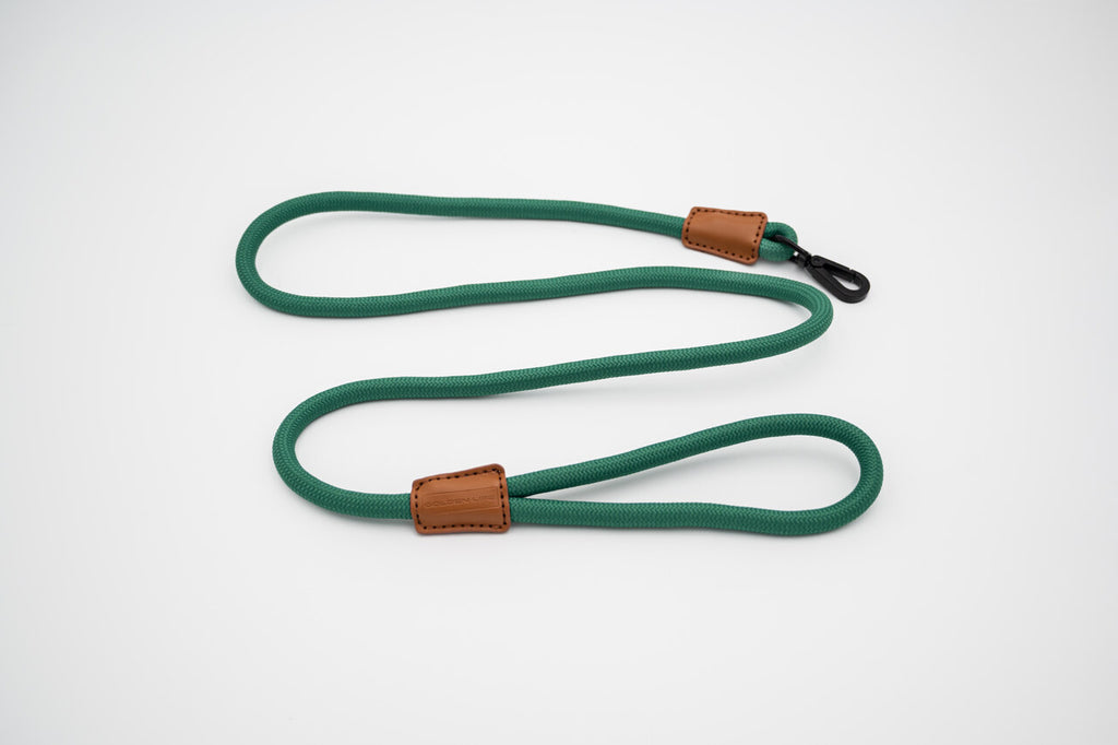 The Golden Life Trail Leash