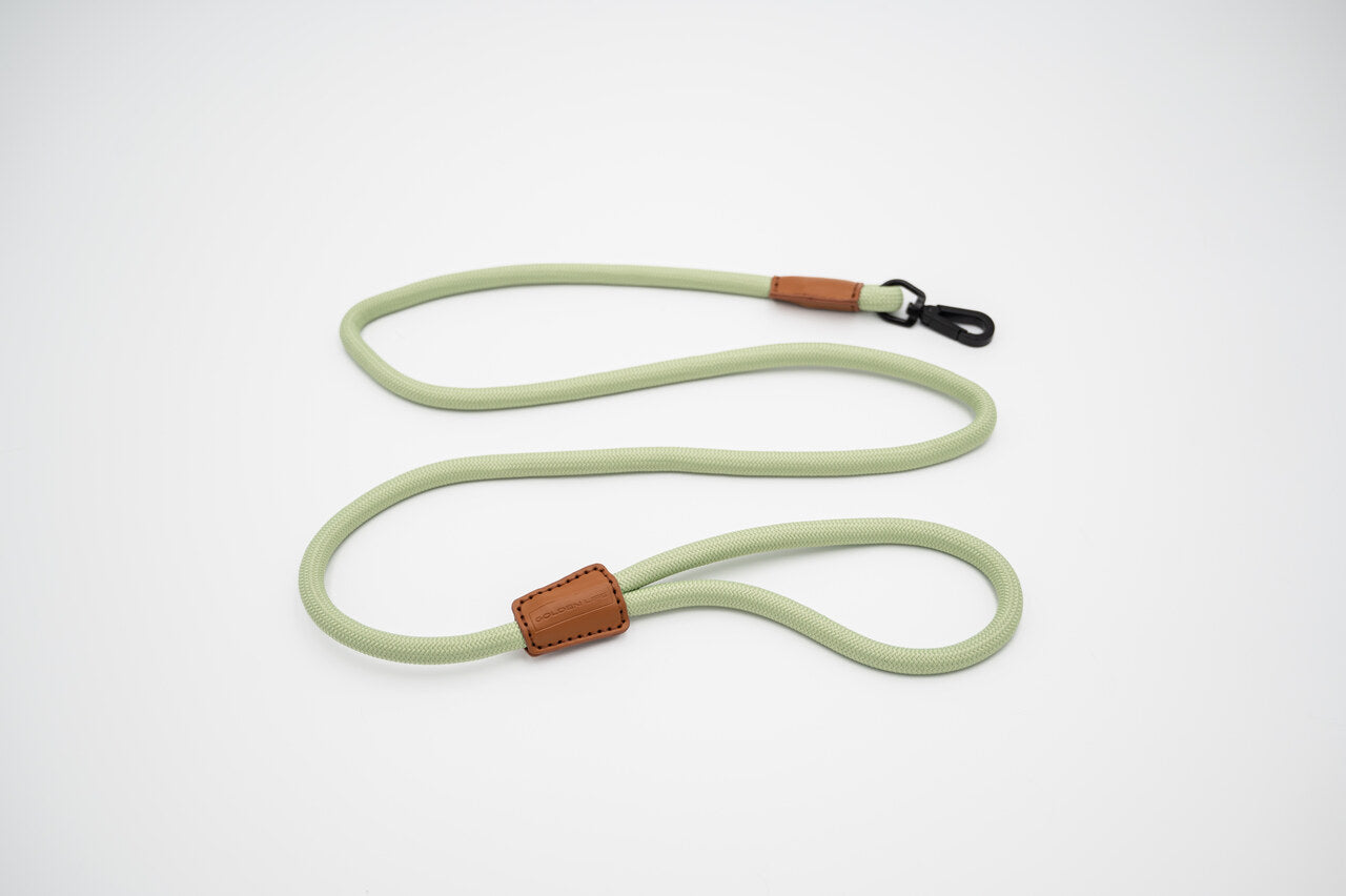 The Golden Life Trail Leash