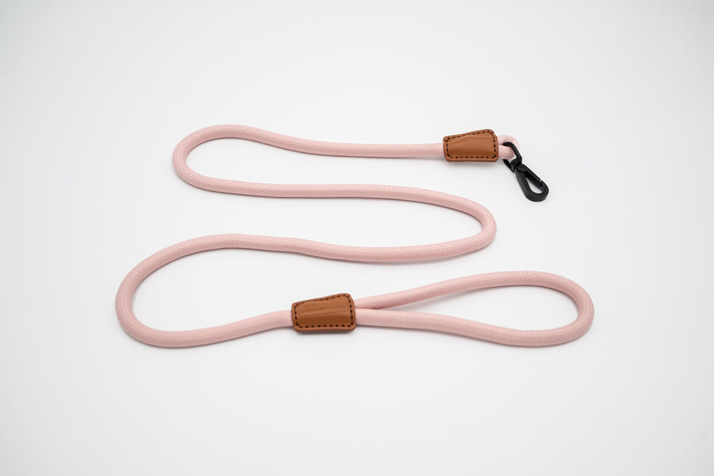 The Golden Life Trail Leash