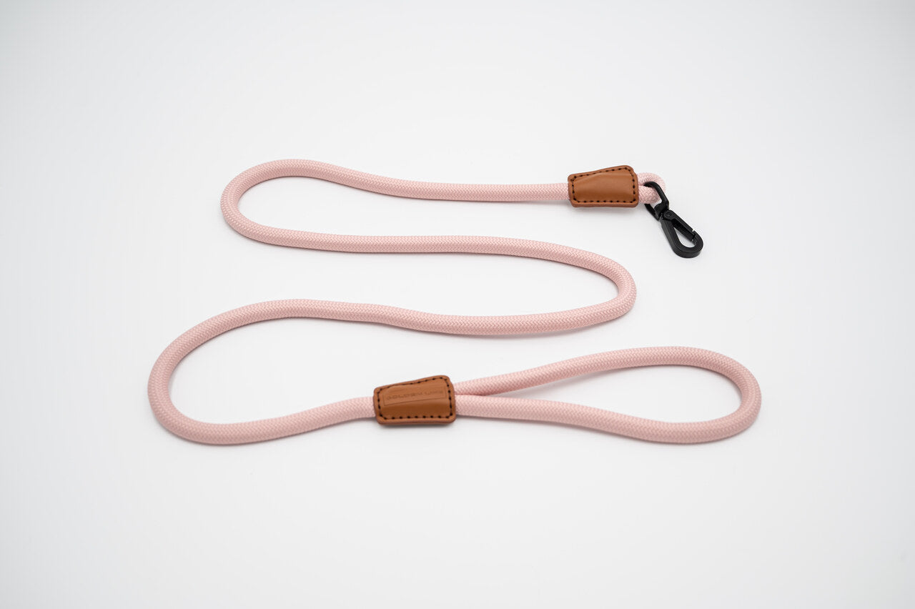 The Golden Life Trail Leash