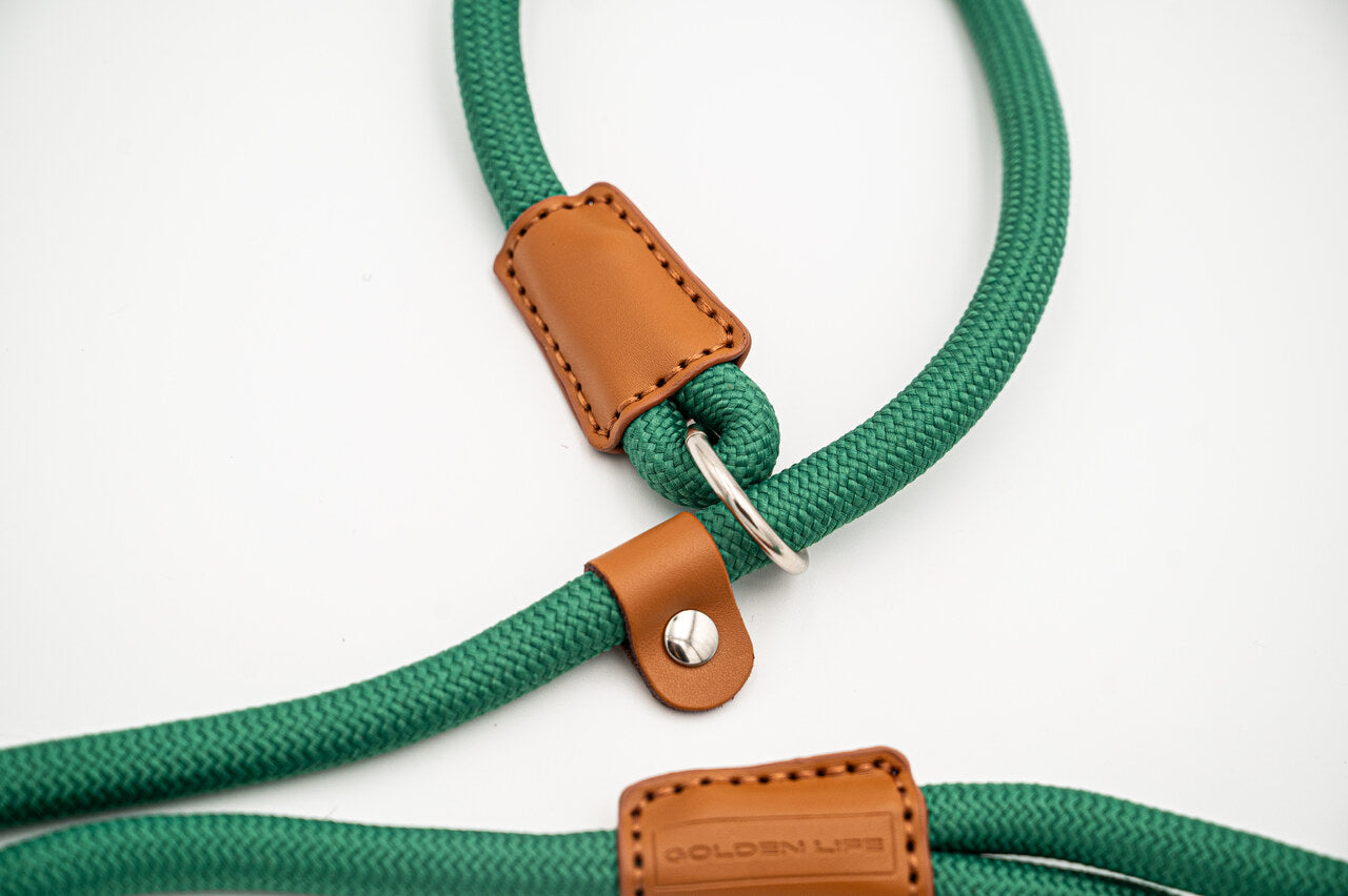 Evergreen Trail Slip Lead Kit
