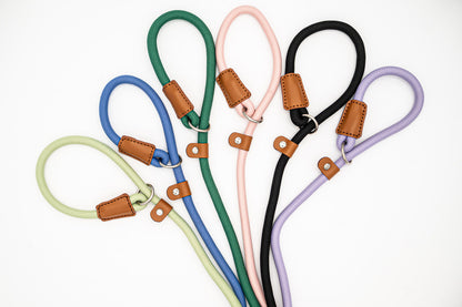 Evergreen Trail Slip Lead Kit