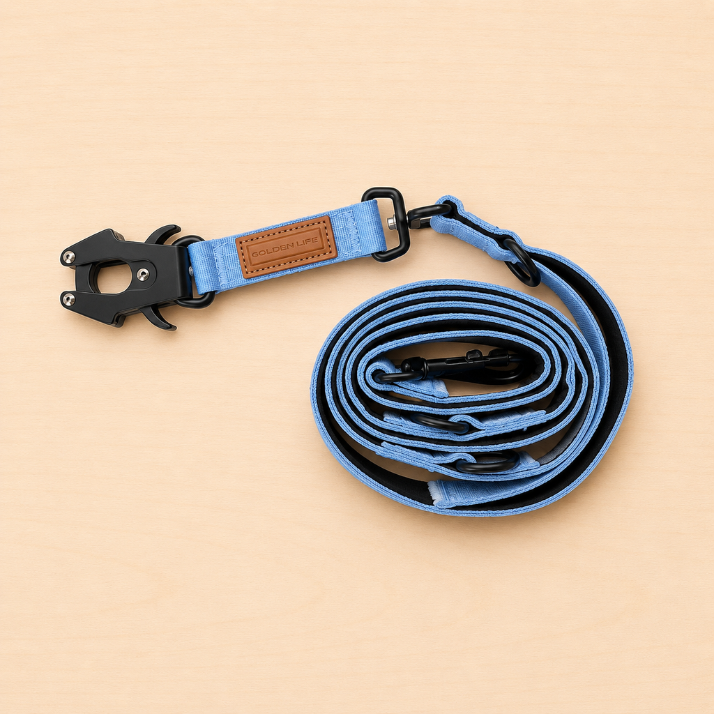 Hands Free Dog Leash