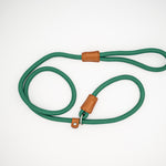 Green rope slip lead for dogs with brown leather accents, featuring a built-in handle and adjustable collar loop.