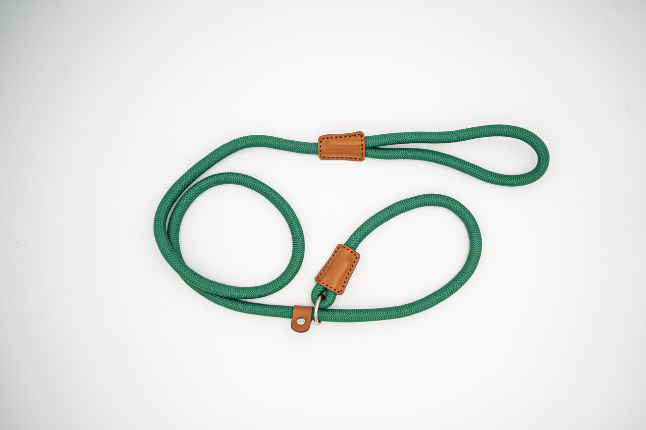 Green rope slip lead for dogs with brown leather accents, featuring a built-in handle and adjustable collar loop.