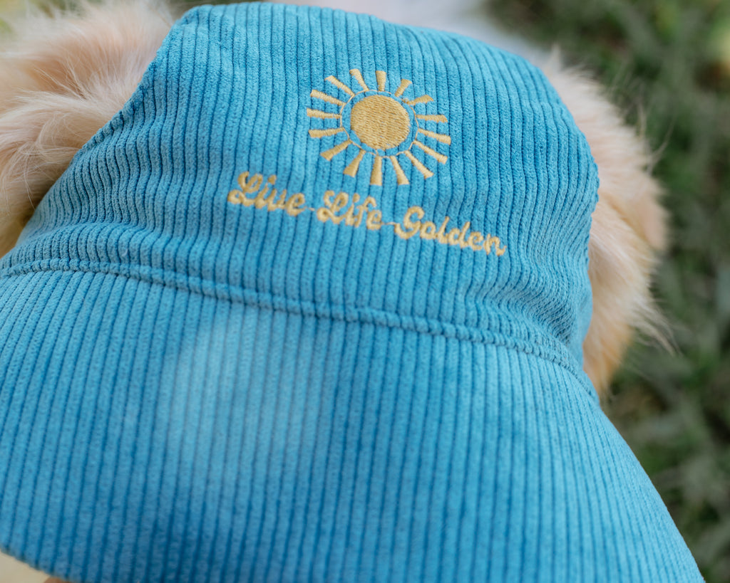 Corduroy Dog Hat – The Golden Life Collection