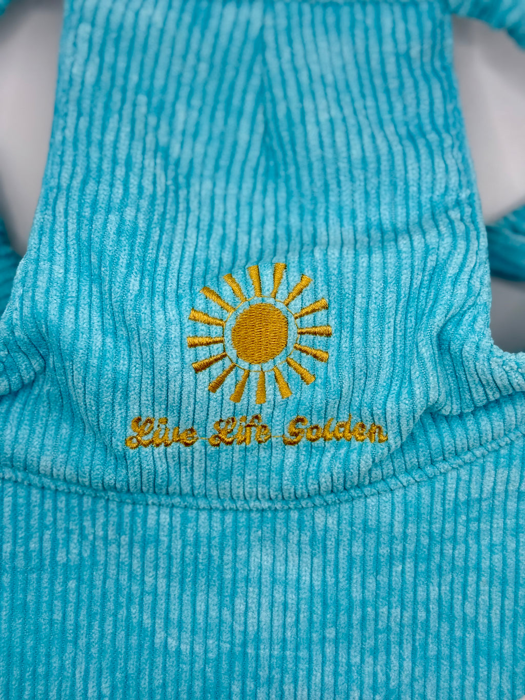 Corduroy Dog Hat – The Golden Life Collection