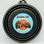 Collapsible Water Bowl 33.8 oz