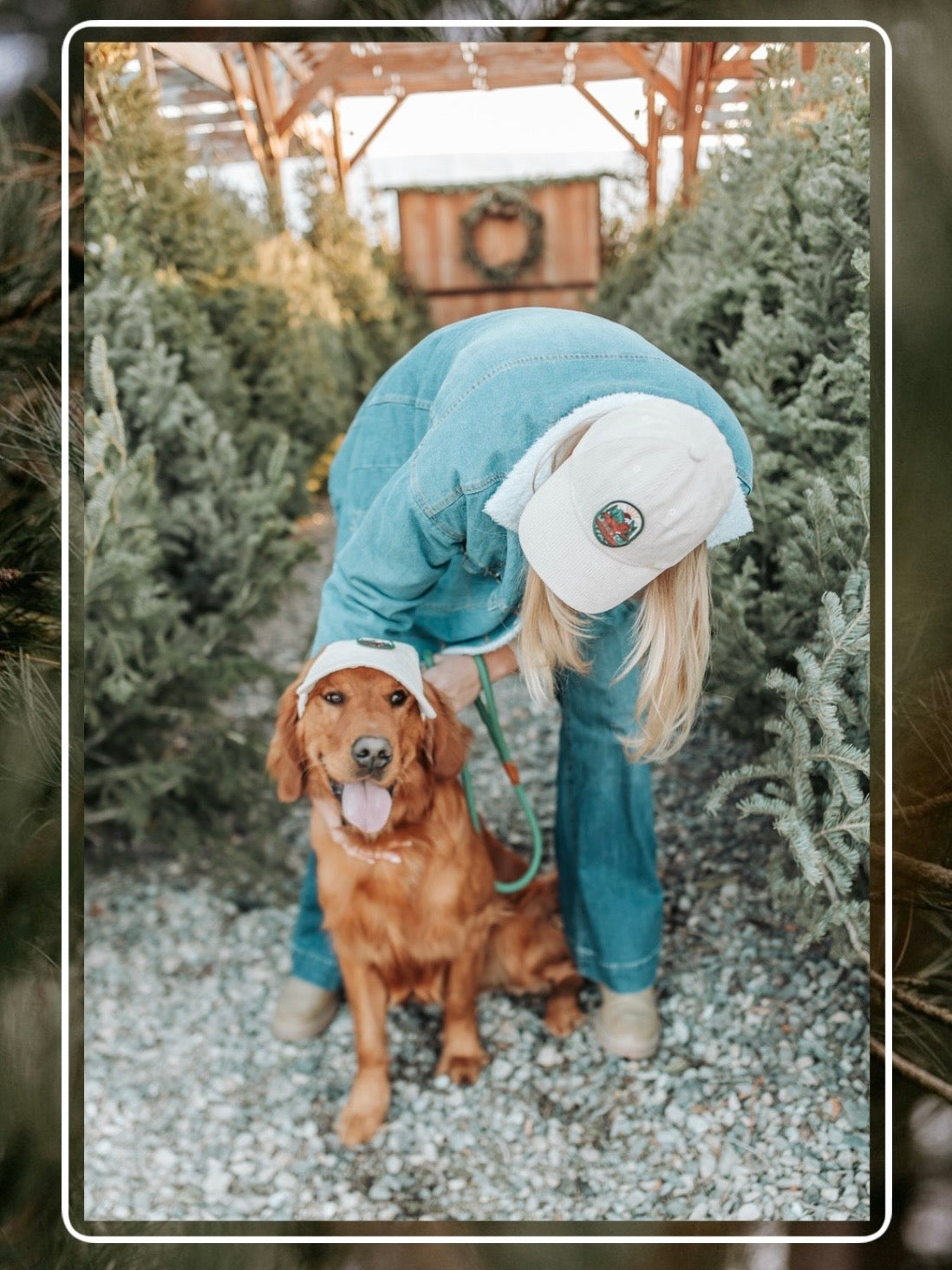 Golden retriever sitting in a tree lot wearing a matching Kodiak adventure corduroy dog hat with human companion nearby in the cream color.