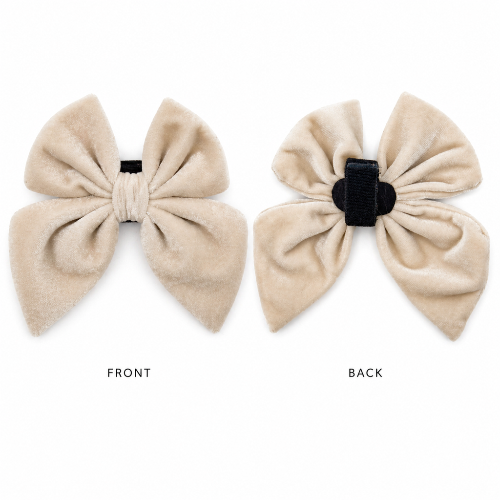 Cream velvet dog bow in sugar cookie color showing front and back on a white background