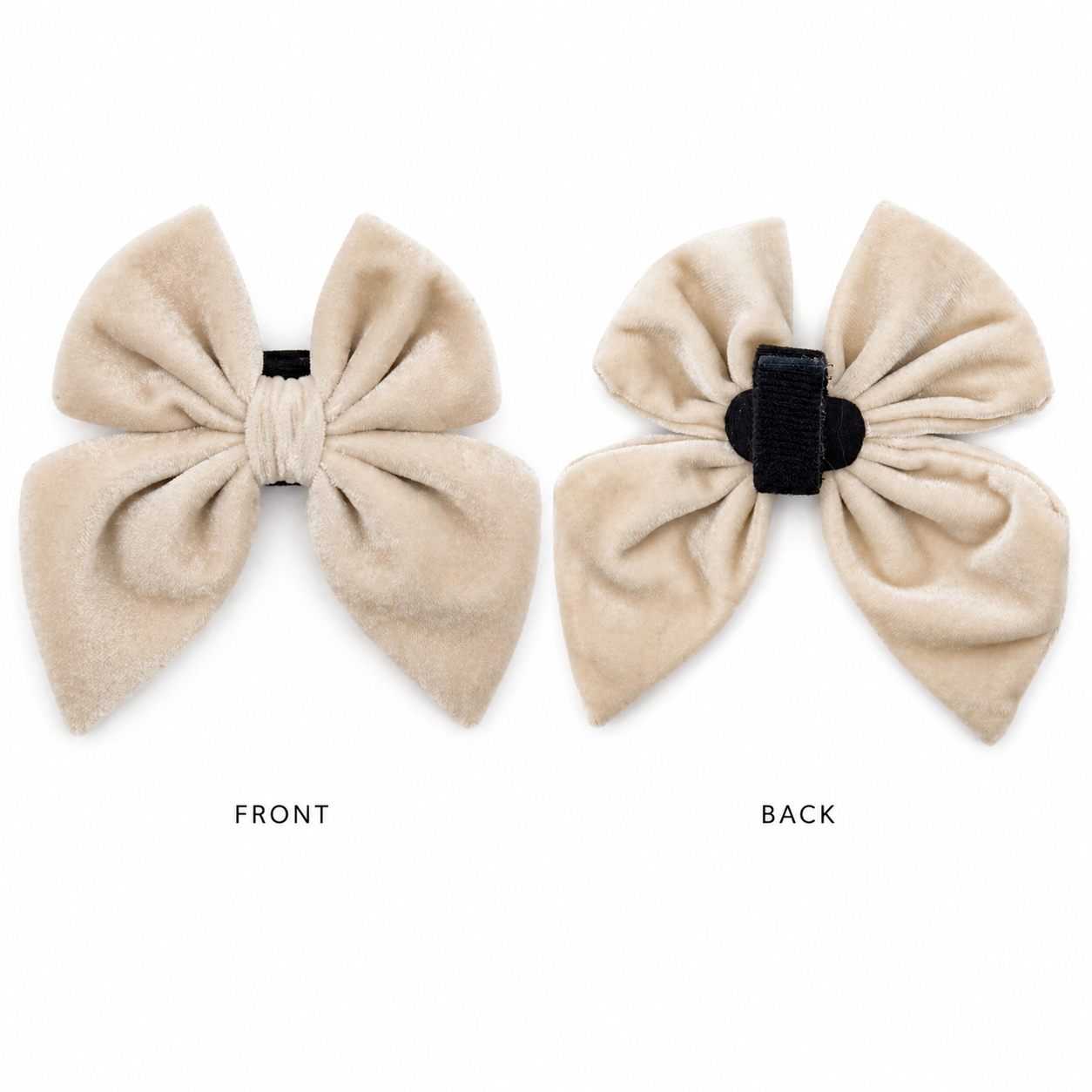 Cream velvet dog bow in sugar cookie color showing front and back on a white background