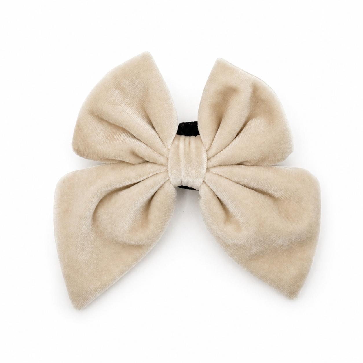 Cream velvet dog bow in sugar cookie color on a white background