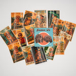 Example of custom vinyl sticker designs featuring golden retrievers, outdoor adventure themes, and vintage-inspired artwork. Each order includes 100 stickers of one custom design.