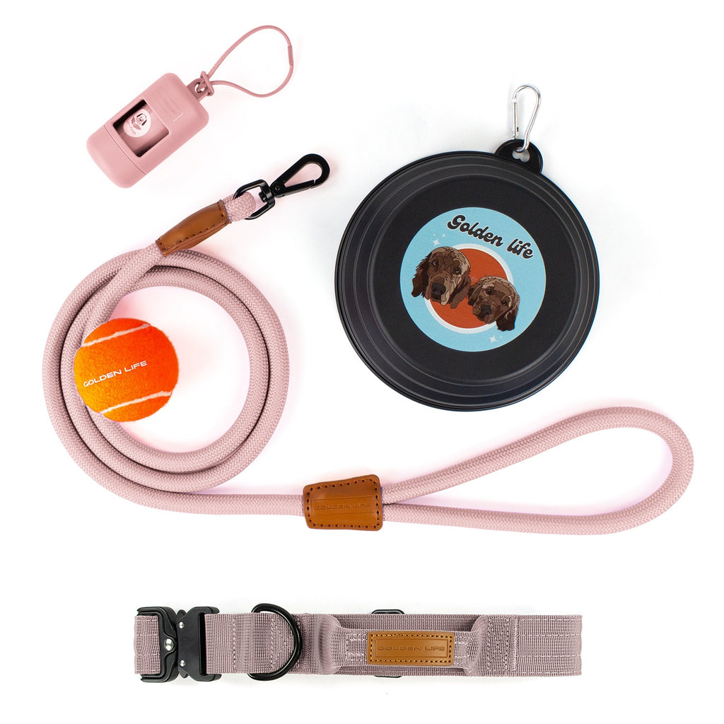 The Golden Life Trail Collar + Leash Kit