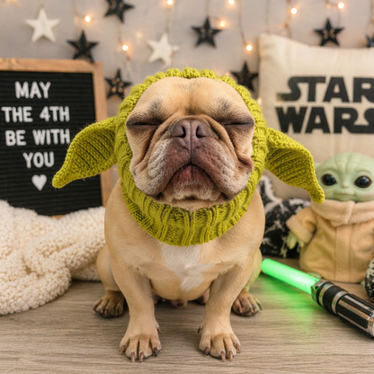 French bulldog wearing a green knit dog snood with ears, styled in a space-themed setting with cozy decor