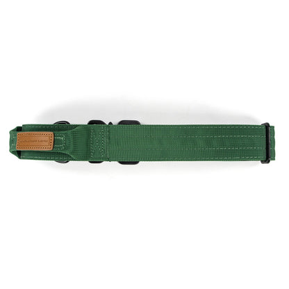 Evergreen Collar