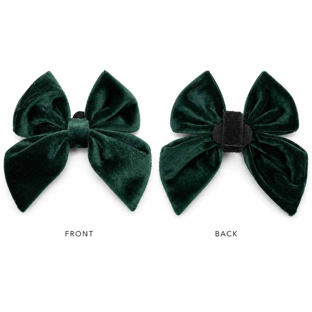 Green velvet dog bow in holiday pine color showing front and back on a white background