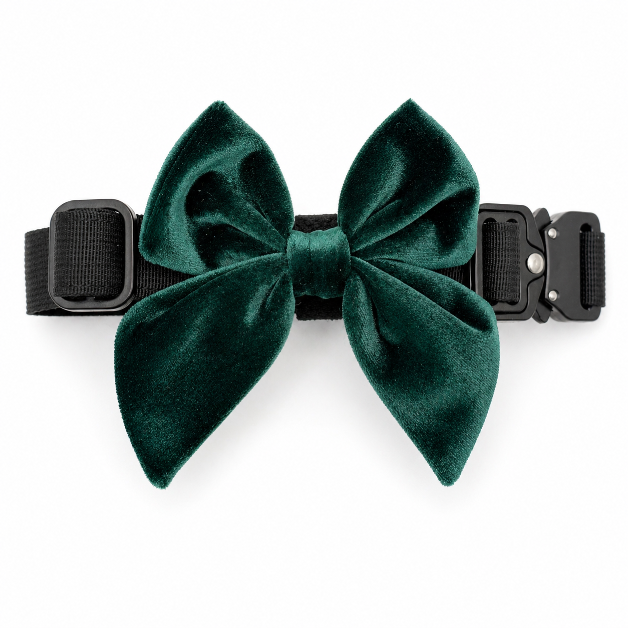 Green velvet dog bow in holiday pine color attached to a black dog collar on a white background