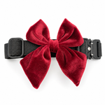 Red velvet dog bow in cranberry crush color attached to a black dog collar on a white background