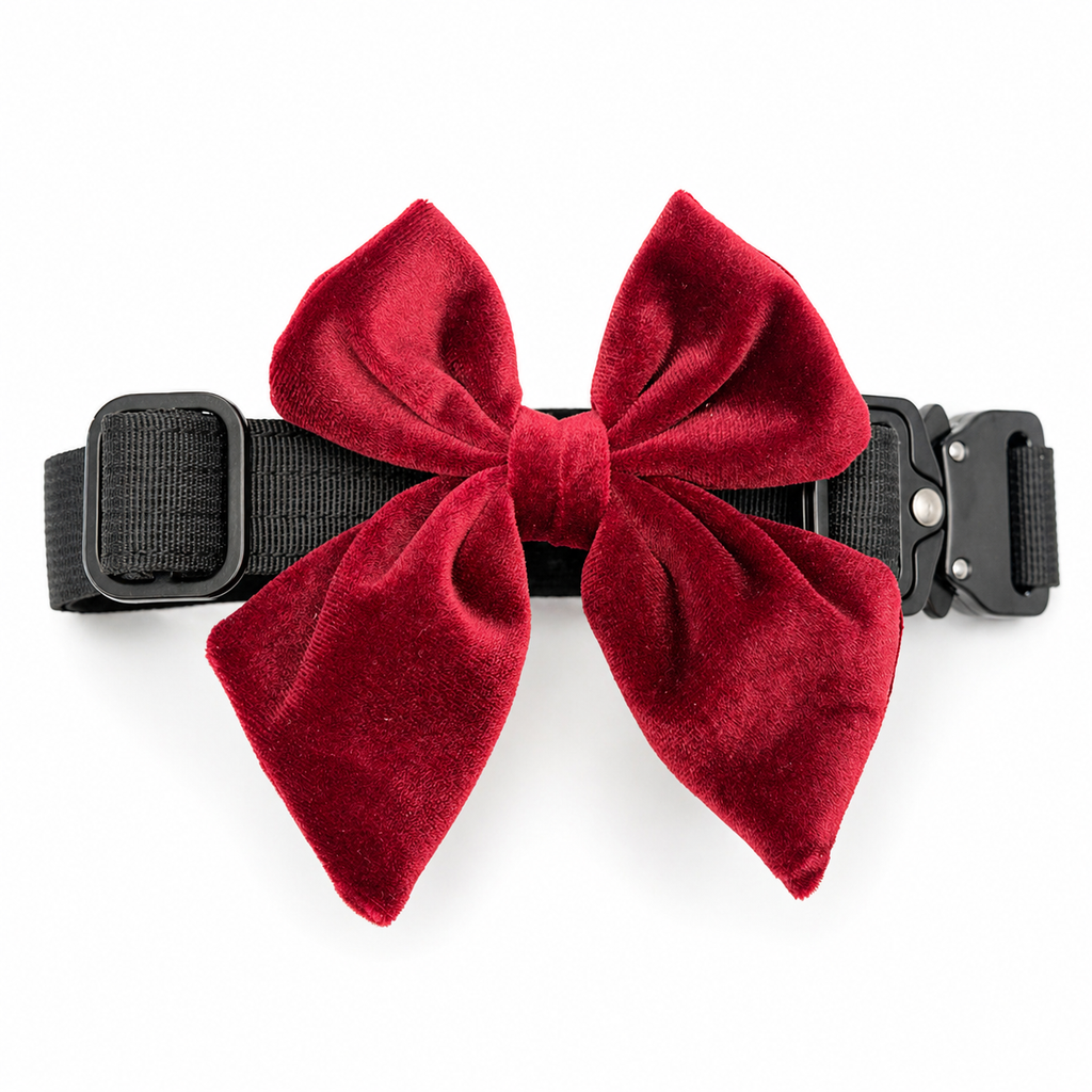 Red velvet dog bow in cranberry crush color attached to a black dog collar on a white background